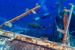 Zenobia shipwreck