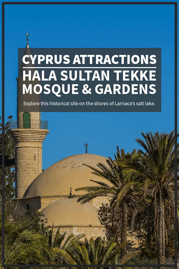 Visit the Hala Sultan Tekke Mosque