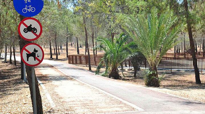 Academy Park Picnic Area