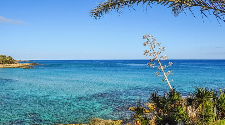 View from the beach