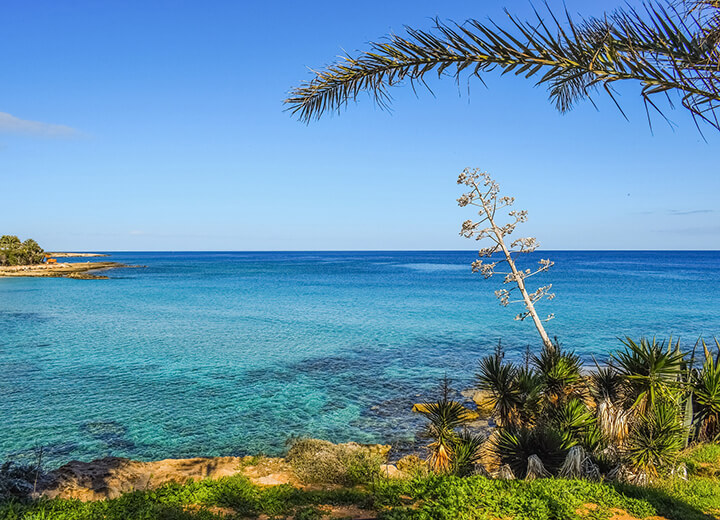 View from the beach