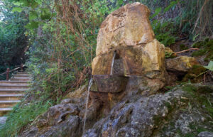 aphrodite nature trail