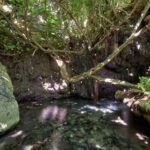 baths of aphrodite pool