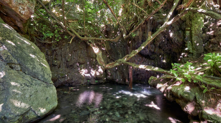 baths of aphrodite pool